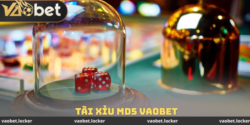 Tài Xỉu MD5 VaoBet