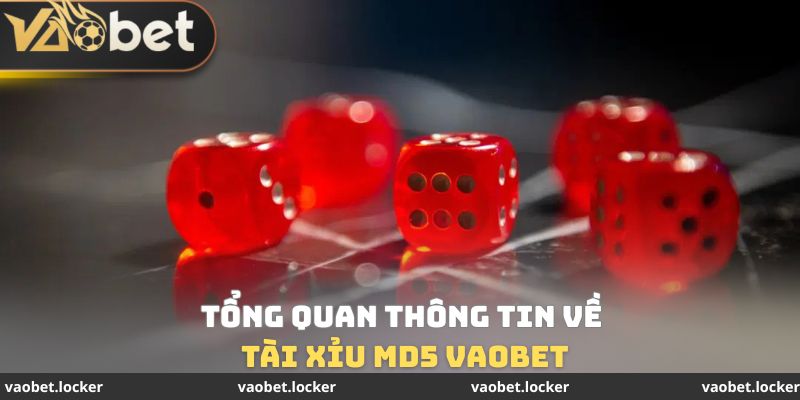 Tổng quan thông tin về tài xỉu MD5 VaoBet